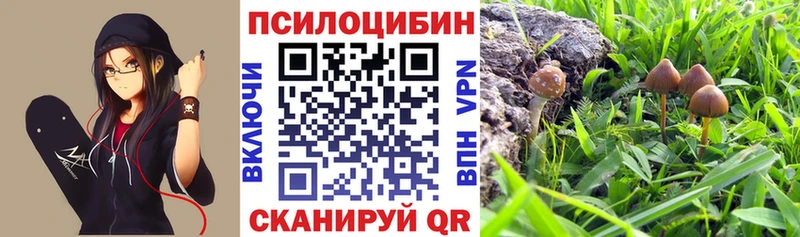 Купить  Кирс  Псилоцибиновые грибы ЛСД 
